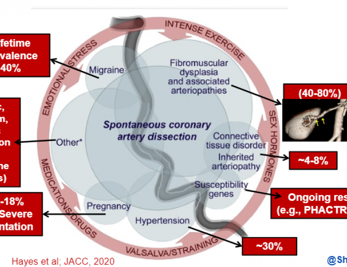 Hayes_Epidemiology_VanSCAD2022